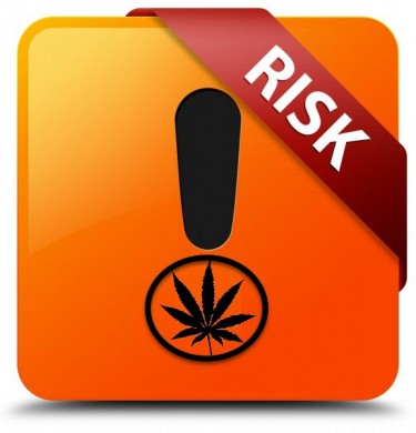 cannabis and at-risk users